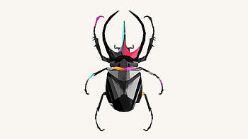 Awesome animal , Geometric animal art, Beetle artwork, Vibrant animal representation HD wallpaper