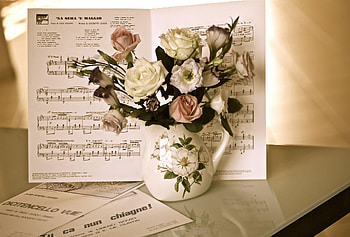 Music, Flowers, Roses, Bouquet, Jug, Table, Notes HD wallpaper