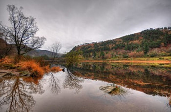 Before the rain, landscapes, clouds, autumn, water, forest HD wallpaper