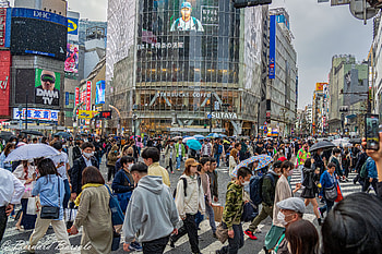 Neon Shibuya: Abstract Japan, Abstract, Japan HD wallpaper