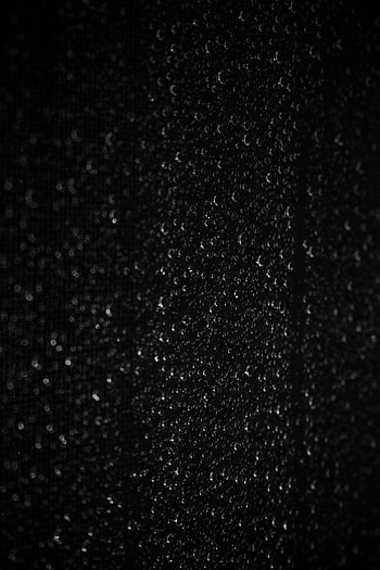 Drops, Macro, Wet, Bw, Chb HD phone wallpaper