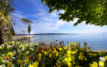 Mainau island, island, coast, bay, beautiful, spring, Boden, tulips, lake, flowers, sky, Germany HD wallpaper