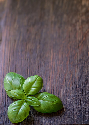 Fresh green basil leaves on a rustic wooden surface, perfect for culinary and organic themes. HD phone wallpaper