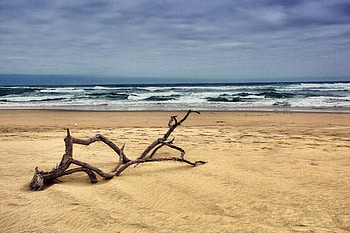 Beach-R, sea, sand, graphy, r, beautiful, nice, tree, beach, waves, cool, clouds, sky, water, ocean HD wallpaper