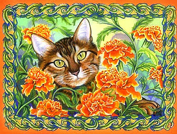 ..Colorful Maurice.., kitten, colorful, cats, cute, furs, animals, adorable, curious, paintings, beautiful, cherish, creative pre-made, summer, love four seasons, pretty, draw and paint, flowers, lovely HD wallpaper