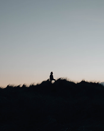 Sky, Night, Dark, Silhouette, Field, Lonely, Alone HD phone wallpaper