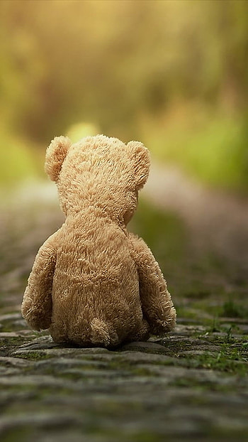 Cute Teddy Bear, Alone, Sitting HD phone wallpaper