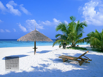 CALENDAR - NOVEMBER 2010, , 2010, calendar, november HD wallpaper