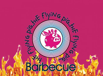 The Flying Pig, camara, flying, pink, pig HD wallpaper