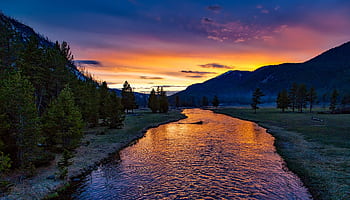 Serene mountain river at sunset with vibrant colors and lush pine trees. HD wallpaper