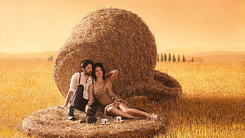 :), summer, coupel, field, man, couple, hay, woman HD wallpaper