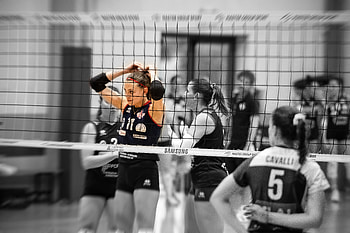 Sports, volleyball HD wallpaper