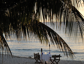 Romantic Table for Two, table, romantic, nature, beach HD wallpaper