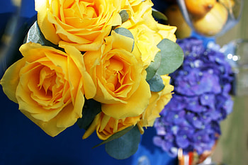 Friendship SunShine ~~, blue, sunshine, roses, bright yellow, entertainment, beautiful, wonderful, fashion, centerpiece, light, contrast, bright, flowers, friendship, forever HD wallpaper