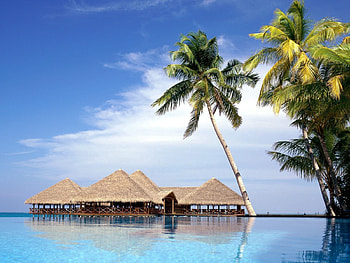 Nature, Water, Sky, Palms, Resort, Maldives, Gazebos HD wallpaper