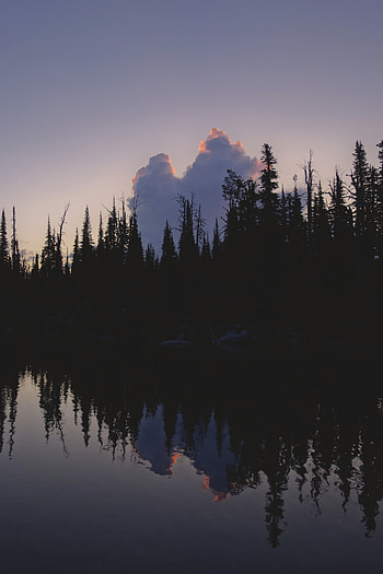 Nature, Water, Trees, Twilight, Reflection, Dark, Dusk HD phone wallpaper
