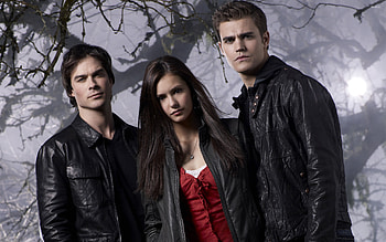 Vampire Diaries series, TV show, Season 8 , Iconic moments HD wallpaper