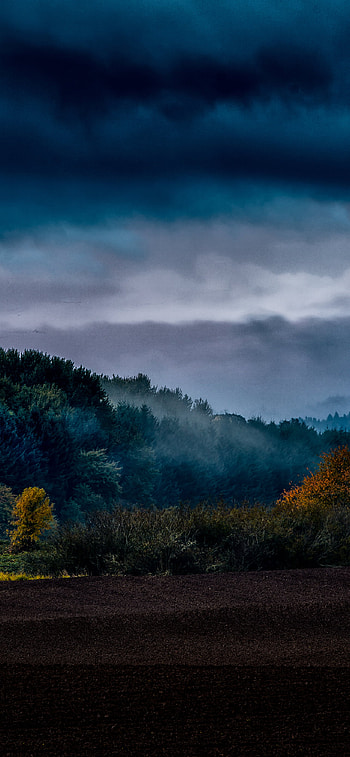 Oregon island in the fall, nature, fall HD phone wallpaper