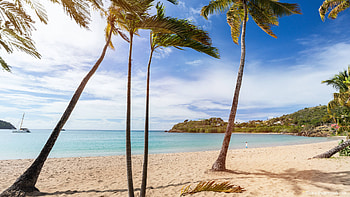 Antigua and Barbuda property, Citizenship guide HD wallpaper