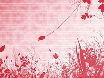 red , nature, flowers, dreams, red HD wallpaper