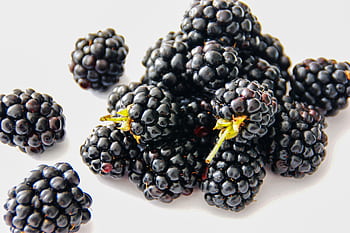 A vibrant close-up of fresh blackberries on a white background, highlighting their juicy texture. HD wallpaper
