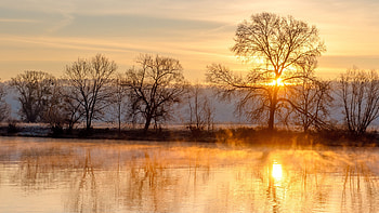 Winter Morning, nature, Winter, sun, Morning HD wallpaper