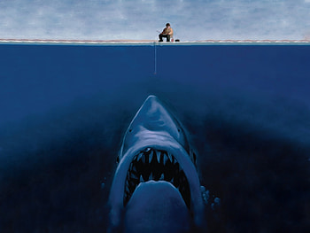 Funny, Animals, Water, Sea, Sharks, Fishes HD wallpaper