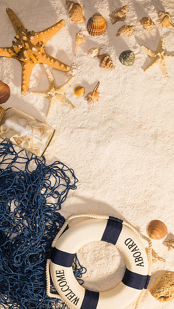 Shells and sand, nature, sea HD phone wallpaper