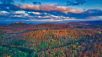 Autumn Leaves In The Thuringian Forest, autumn, forest, trees, nature HD wallpaper