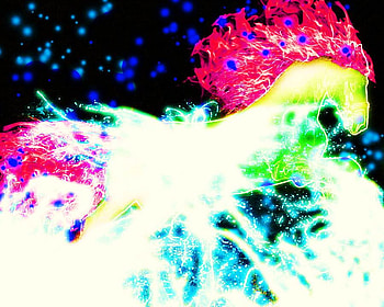 Horse Fireworks, fireworks, colorful, horse, abstract HD wallpaper