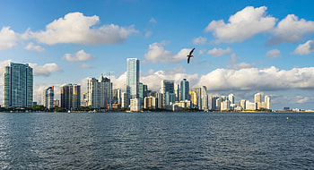 Miami Beach Skyline, Travels, Brickell neighborhood, Under the radar HD wallpaper