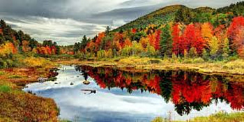 Beautiful Autumn Day, Day, Beautiful, Autumn, Color HD wallpaper
