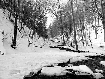 Winter River, winter, river, snow, sky, nature HD wallpaper