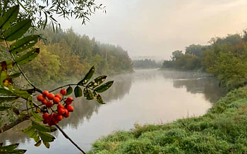 River Gauja, Latvia, rowan, river, mist, reflection, Latvia, calm HD wallpaper