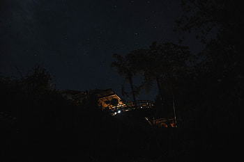 Night, Palms, Dark, Starry Sky, House HD wallpaper