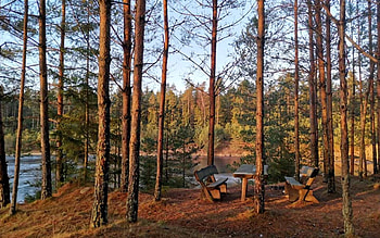 By Forest Lake, Latvia, benches, forest, lake HD wallpaper