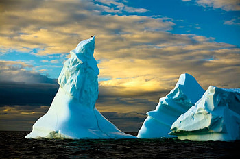 Icebergs, blue, notre, dame, bay, water HD wallpaper