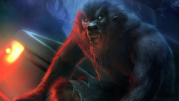 Werewolf, CG, fantasy, art HD wallpaper