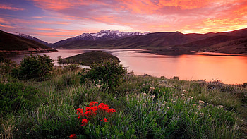 Fiery Deer Creek sunset with wildflowers, Heber Valley, Utah, river, clouds, colors, trees, landscape, flowers, sky, usa HD wallpaper