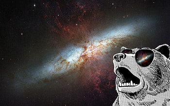 Dank Memes 1080 to Pin on Pinterest - PinsDaddy HD wallpaper