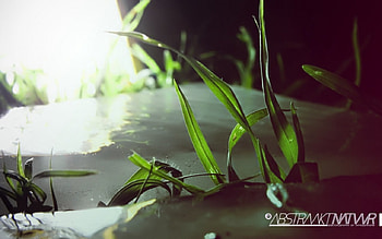 Icegrass, abstract, 3d HD wallpaper