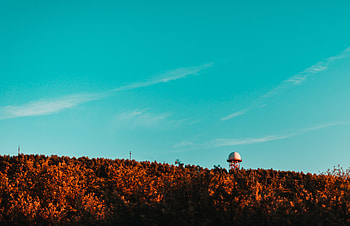 Trees, Building, Top, Miscellanea, Miscellaneous, Ball, Tops, Tower HD wallpaper