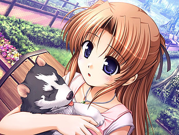Takamizawa Natsuki, dog, anime, husky, garden HD wallpaper