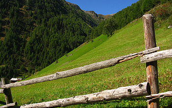Pfossental, blue, fence beautiful, green, sky, nature, mountains, forest, cabin HD wallpaper