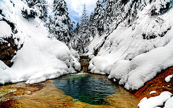 Snow, Winter, , Mountain, Stream, Tree, Water HD wallpaper