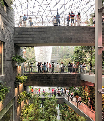 Singapore Changi International Airport, Jewel Changi marvel, Green oasis, Urban paradise HD phone wallpaper