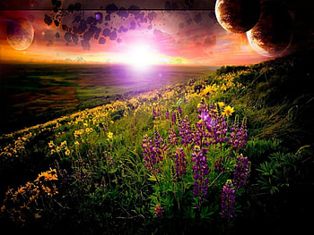 Fantasy sunset, abstract, fantasy, flowers, sunset, moons HD wallpaper