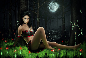 In the Dark Night, night, girl, forest, moon HD wallpaper