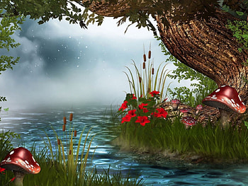 mushrooms, mist, creek, flowers HD wallpaper