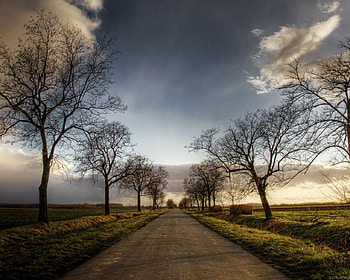The Way, way, abstract, graphy, light, trees, sky, road, dark HD wallpaper